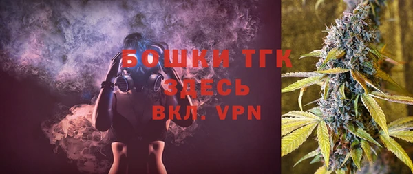 тгк Пестово