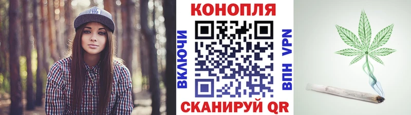Бошки Шишки гибрид  Куртамыш 